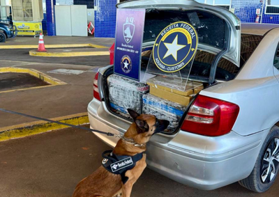 Receita Federal, For&ccedil;a Nacional e equipe K9 localizaram a carga escondida no porta-malas de um carro.
