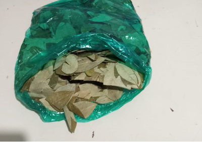 Suspeita foi abordada pr&oacute;ximo &agrave; Rodovi&aacute;ria Internacional, confessou que transportava o material e acabou levada &agrave; Delegacia. 