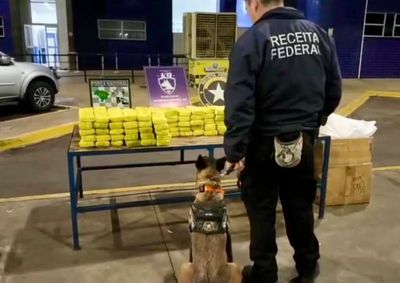 Droga foi localizada durante fiscaliza&ccedil;&atilde;o da Receita Federal na madrugada desta quinta-feira (23).