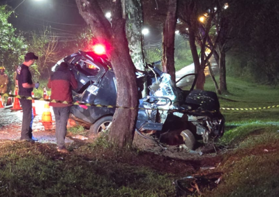 Caminhonete com oito ocupantes saiu da pista e bateu contra uma &aacute;rvore durante a madrugada deste s&aacute;bado (25), em Foz do Igua&ccedil;u.