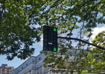 Levantamento vai avaliar a situa&ccedil;&atilde;o dos sem&aacute;foros e a ado&ccedil;&atilde;o de tecnologias para reduzir paradas e congestionamentos em Foz do Igua&ccedil;u.
