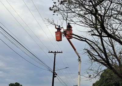 Copel e Prefeitura realizam podas preventivas para reduzir interrup&ccedil;&otilde;es durante temporais e ventos fortes.