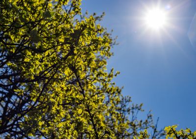Ap&oacute;s um domingo de tempo firme, previs&atilde;o indica dias secos e tardes mais agrad&aacute;veis at&eacute; a chegada de uma nova frente fria.