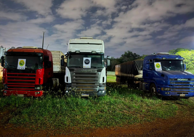 Fiscaliza&ccedil;&atilde;o em Foz do Igua&ccedil;u tamb&eacute;m apreendeu outros dois ve&iacute;culos ligados ao transporte; documentos, celulares e uma placa foram recolhidos.