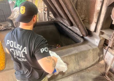 Opera&ccedil;&atilde;o ocorre nesta quinta e sexta-feira, com autoriza&ccedil;&atilde;o judicial e acompanhamento da Vigil&acirc;ncia Sanit&aacute;ria.