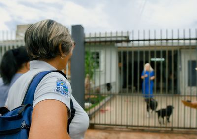 Sa&uacute;de alerta que mais chuva e calor podem favorecer o Aedes aegypti e elevar casos de dengue e chikungunya nos pr&oacute;ximos meses.