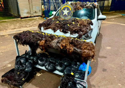 Cabelos foram encontrados no porta-malas e nos bancos traseiros de um ve&iacute;culo abordado na BR-277.