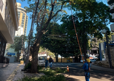 Servi&ccedil;o mobilizou 14 profissionais durante dois dias e buscou reduzir riscos de interrup&ccedil;&otilde;es provocadas por galhos pr&oacute;ximos &agrave; rede el&eacute;trica.