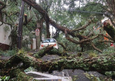 Planejamento prev&ecirc; refor&ccedil;o nos alertas e na estrutura de atendimento para casos de chuva forte, alagamentos, enxurradas e quedas de &aacute;rvores.