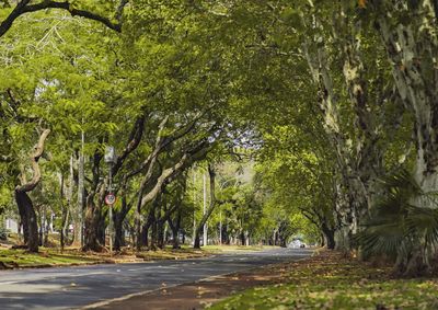 Projeto n&atilde;o ser&aacute; realizado neste domingo (4) para facilitar o deslocamento de eleitores e equipes de seguran&ccedil;a; programa&ccedil;&atilde;o retorna no dia 11.