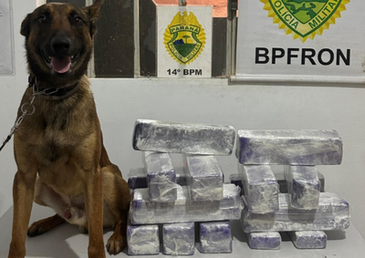 Pol&iacute;cia encontrou 27 tabletes da droga dentro de duas caixas que estavam preparadas para seguir at&eacute; a capital paulista.