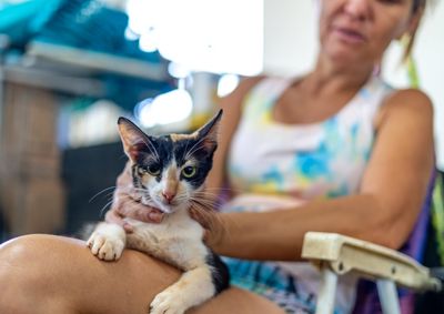Contratos somam R$ 215,5 mil e atendem animais em situa&ccedil;&atilde;o de risco, v&iacute;timas de maus-tratos e acolhidos por protetores e entidades credenciadas.