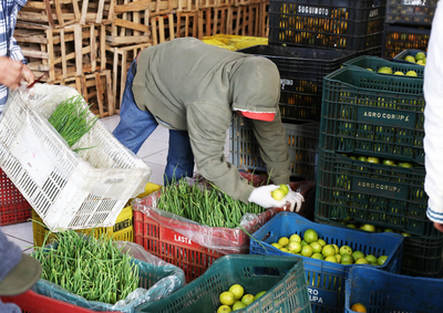 Programa prev&ecirc; compra direta de produtores, com prioridade para agricultores do munic&iacute;pio. Alimentos ser&atilde;o destinados &agrave; rede de atendimento social.