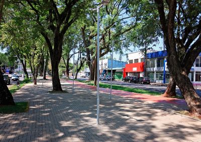 Sinaliza&ccedil;&atilde;o com relevo no ch&atilde;o, usada por pessoas cegas ou com baixa vis&atilde;o, n&atilde;o foi prevista no projeto de revitaliza&ccedil;&atilde;o do canteiro central da avenida.