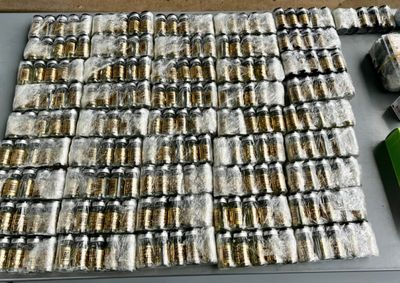 Fiscaliza&ccedil;&atilde;o tamb&eacute;m encontrou cigarros comuns, anabolizantes e rem&eacute;dios para emagrecimento. Carga foi avaliada em R$ 200 mil.
