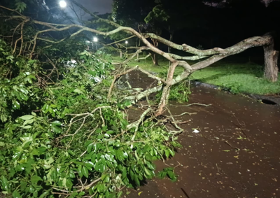Defesa Civil registrou ocorr&ecirc;ncias em diferentes bairros durante a madrugada desta quinta-feira (10); n&atilde;o houve pessoas feridas ou desalojadas.