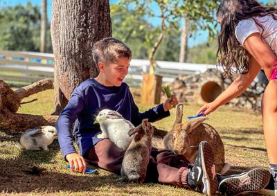Programa&ccedil;&atilde;o ser&aacute; no dia 11 de outubro, com experi&ecirc;ncias com animais, gincana, concurso de fantasias e brincadeiras com &aacute;gua.
