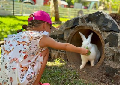 Programa&ccedil;&atilde;o especial inclui concurso de fantasias, rotina de cuidador, contato com animais e atra&ccedil;&otilde;es para toda a fam&iacute;lia durante o dia.