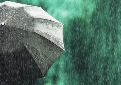 Cidade acumulou 372,4 mil&iacute;metros de chuva at&eacute; o dia 12, superando a m&eacute;dia hist&oacute;rica mensal; temporais causaram transtornos e elevaram o n&iacute;vel dos rios.