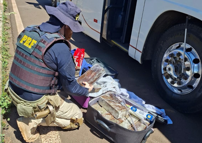 Duas passageiras foram presas na BR-277, em Santa Terezinha de Itaipu. Fiscaliza&ccedil;&atilde;o tamb&eacute;m encontrou iPhones, emagrecedores e anabolizantes.