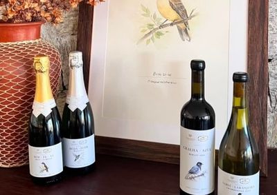 Obras da artista Adriana H&ouml;ppner passam a ilustrar r&oacute;tulos exclusivos da bebida nos hot&eacute;is boutique Varanda das Brom&eacute;lias e Ritta H&ouml;ppner, em Gramado.