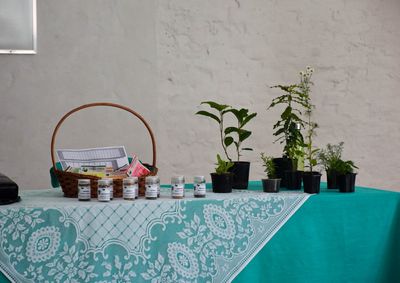 Encontro debateu a integra&ccedil;&atilde;o e amplia&ccedil;&atilde;o de perspectivas para o uso de plantas medicinais no Sistema &Uacute;nico de Sa&uacute;de.