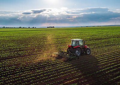 Forma&ccedil;&atilde;o gratuita &eacute; promovida pela Emater/RS-Ascar e re&uacute;ne atividades pr&aacute;ticas voltadas &agrave; sustentabilidade e ao fortalecimento da agricultura familiar.