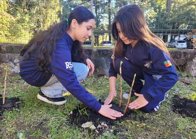 Atividade apresentou aos estudantes t&eacute;cnicas de cultivo e cuidados que influenciam o desenvolvimento das flores.