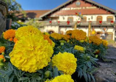 A iniciativa materializa o compromisso hist&oacute;rico expresso no p&oacute;rtico da cidade: &ldquo;Leve nos olhos a imagem colorida de Gramado.&rdquo;
