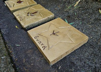 Com a ave, a Cal&ccedil;ada da Fauna alcan&ccedil;a a marca de 23 esp&eacute;cies brasileiras catalogadas.