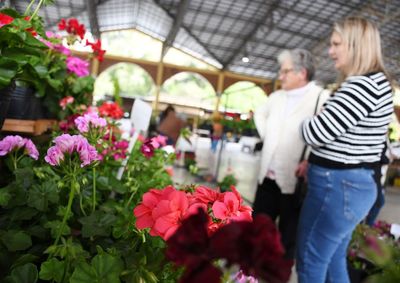 S&eacute;tima edi&ccedil;&atilde;o consolida proposta de reunir flores, gastronomia, cultura e oportunidades para empreendedores.