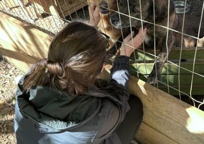 A&ccedil;&atilde;o sob coordena&ccedil;&atilde;o da Secretaria da Sa&uacute;de visa promover o bem-estar animal, a socializa&ccedil;&atilde;o e o incentivo &agrave; ado&ccedil;&atilde;o respons&aacute;vel.