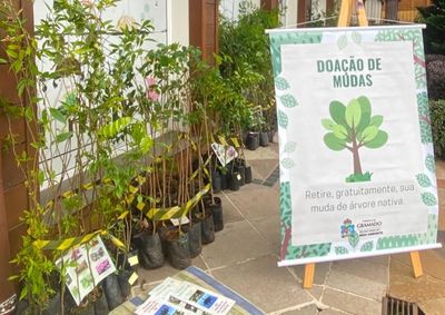 A iniciativa busca aproximar a comunidade escolar das a&ccedil;&otilde;es de preserva&ccedil;&atilde;o ambiental e incentivar a arboriza&ccedil;&atilde;o e o contato com a natureza.