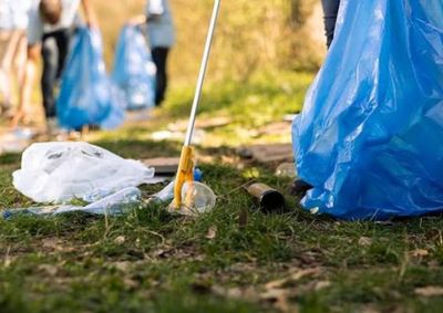 A&ccedil;&atilde;o em parceria com o Movimento Gramado Viva promove a preserva&ccedil;&atilde;o ambiental e mobiliza volunt&aacute;rios.