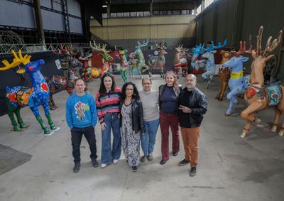 Neste ano, o tradicional concurso cultural para a pintura de renas re&uacute;ne obras de 14 artistas pl&aacute;sticos gramadenses. 