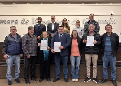 Proposi&ccedil;&otilde;es tratam da alfabetiza&ccedil;&atilde;o na rede municipal, denomina&ccedil;&atilde;o de vias p&uacute;blicas, homenagem a Rosa Helena Volk e adequa&ccedil;&otilde;es no or&ccedil;amento do Legislativo.