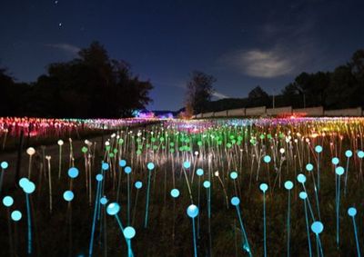 Parque de Luzes oferece entrada gratuita para crian&ccedil;as de at&eacute; 12 anos at&eacute; 17 de outubro, com mais de 12 hectares de cen&aacute;rios iluminados.