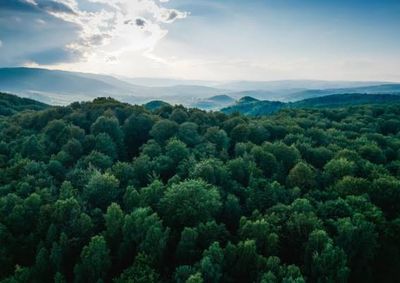 Encontro de 22 de outubro busca fortalecer parcerias em educa&ccedil;&atilde;o ambiental, recupera&ccedil;&atilde;o de &aacute;reas verdes e desenvolvimento sustent&aacute;vel.