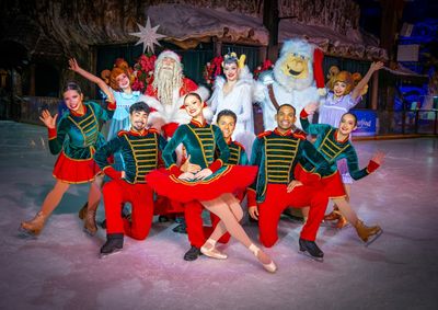 Temporada natalina come&ccedil;a no maior parque de neve do Brasil, com atra&ccedil;&otilde;es que transformam o espa&ccedil;o em um cen&aacute;rio de sonhos e emo&ccedil;&otilde;es.