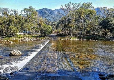 Com &aacute;guas cristalinas passando sobre a pista, ref&uacute;gio na mata vira destaque