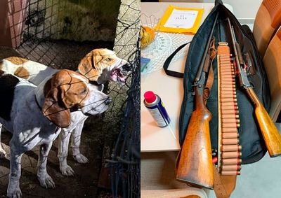 A&ccedil;&atilde;o policial cumpre dezenas de mandados contra com&eacute;rcio ilegal de armas de fogo.