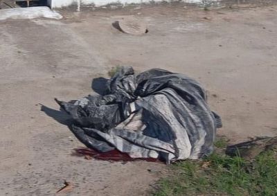 Animal invadiu casa vizinha; m&atilde;e, filho e vizinho foram mordidos e socorridos.