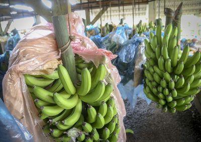Processo prev&ecirc; a compra de 20 itens da agricultura familiar, entre frutas, hortali&ccedil;as e produtos artesanais; propostas podem ser enviadas at&eacute; 8 de setembro