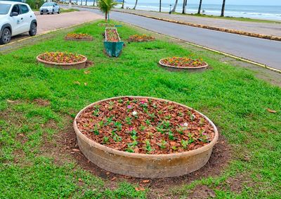 Projeto tamb&eacute;m prev&ecirc; melhorias no Horto Municipal para ampliar a produ&ccedil;&atilde;o de mudas destinadas aos espa&ccedil;os p&uacute;blicos