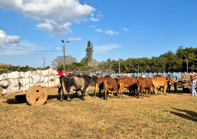 Evento mais tradicional da cidade ser&aacute; realizado junto &agrave; Expoagro 2026. As inscri&ccedil;&otilde;es para o Torneio Leiteiro j&aacute; est&atilde;o abertas