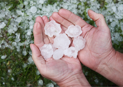 Em mais uma cr&ocirc;nica po&eacute;tica, escritora mistura lembran&ccedil;as, imagina&ccedil;&atilde;o e afetos em um texto para ler devagar, como quem escuta a chuva. Delicie-se.