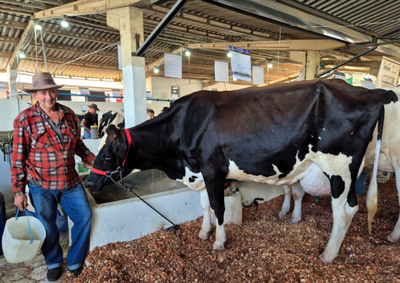 Competi&ccedil;&atilde;o reuniu 28 produtoras e produtores e 32 animais de Ibertioga e cidades da regi&atilde;o durante o Festival de Carros de Boi. Confira todos os resultados