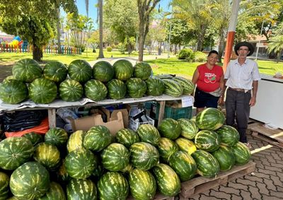 Visitantes encontram melancias frescas, com pre&ccedil;os a partir de R$ 15, al&eacute;m de sucos naturais e outros produtos coloniais.