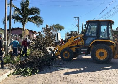 Descarte de galhos ap&oacute;s a passagem das equipes pode gerar multa conforme legisla&ccedil;&atilde;o municipal; cronograma segue at&eacute; julho.