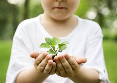 Iniciativa do COMMA garante o custeio de at&eacute; R$ 10 mil em bens e servi&ccedil;os para cada uma das tr&ecirc;s entidades locais contempladas.